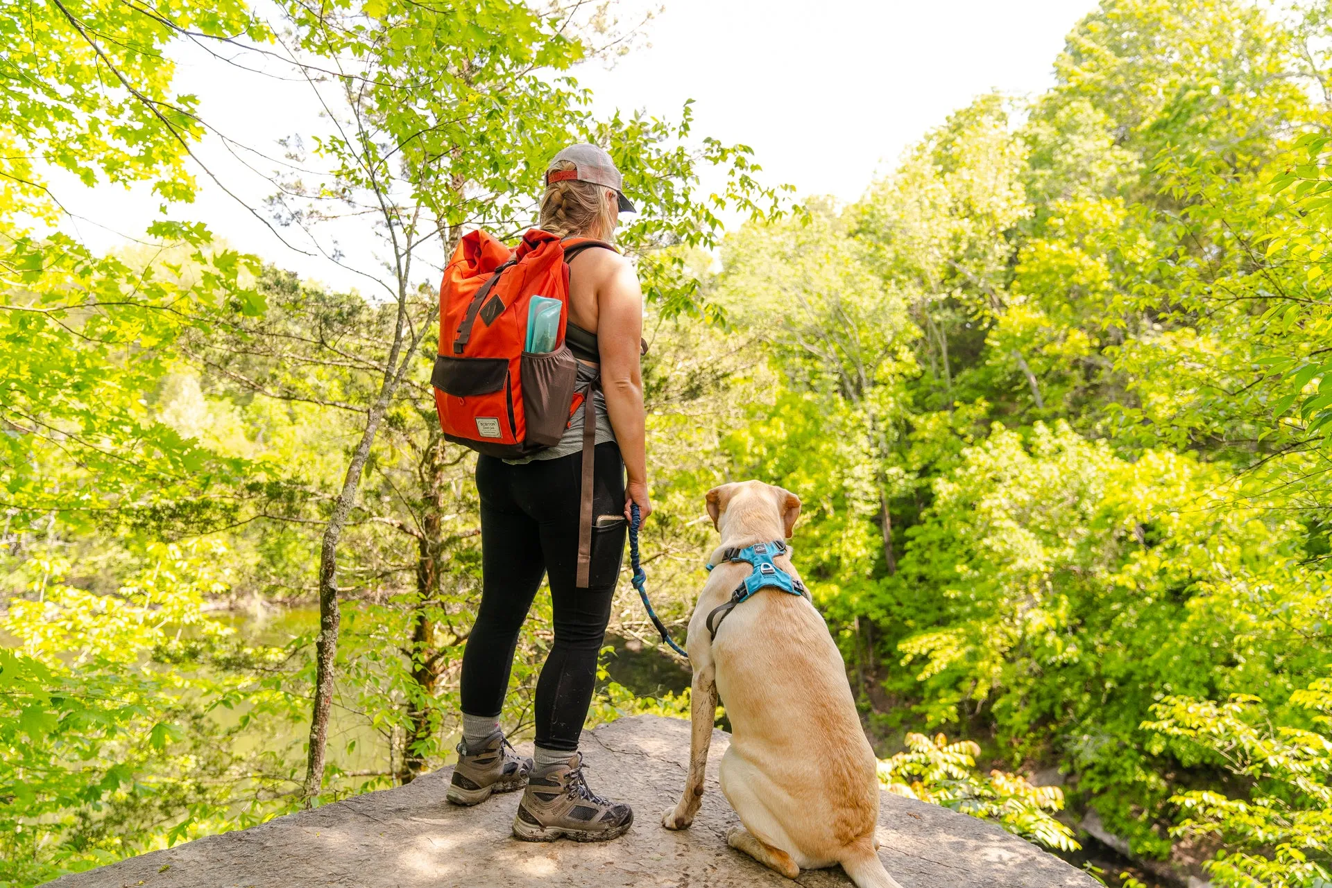 Millvue Ocean Blue EZ Fit™ Dog Harness - Wholesale